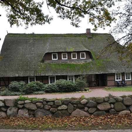 Reit- Und Bauernhof Klaucke Trebel Exterior foto