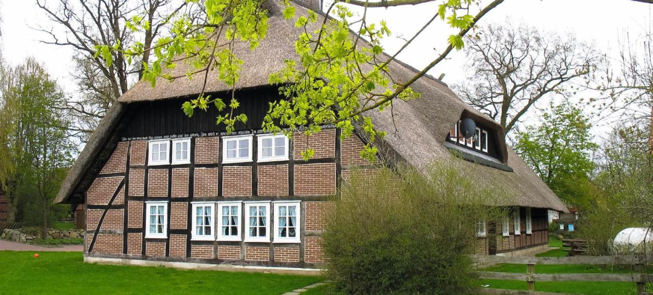 Reit- Und Bauernhof Klaucke Trebel Exterior foto