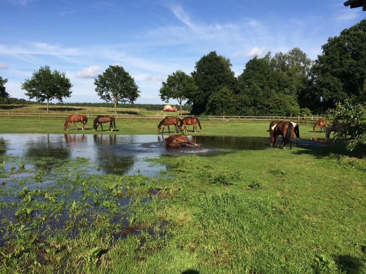 Reit- Und Bauernhof Klaucke Trebel Exterior foto