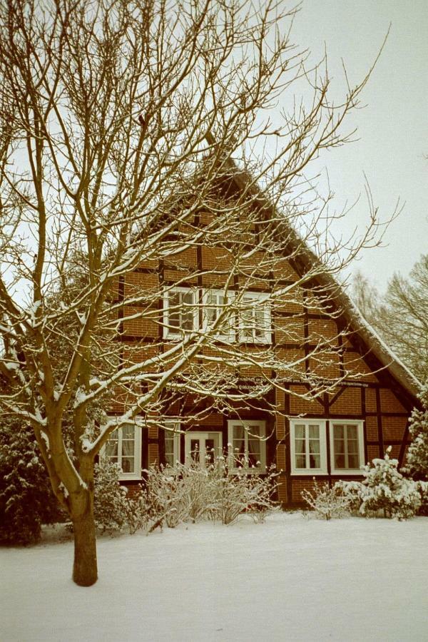 Reit- Und Bauernhof Klaucke Trebel Exterior foto
